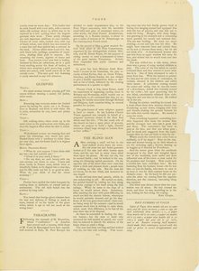 不明な画像 作： Kate Chopin